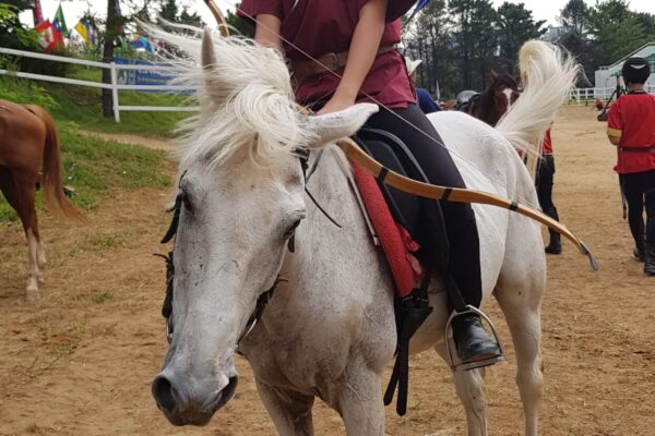 Panah-lagenda-kejohanan-bekuda-2018 (3)