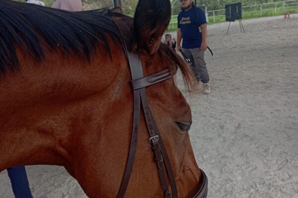 panah-lagenda-bengkel-MREC (3)